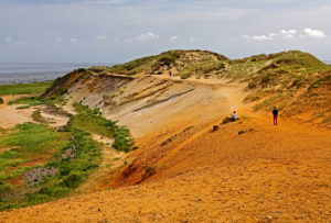 Morsumer Kliff am Wattenmeer, Morsum, Sylt-Ost, Nordseeinsel, Sylt, Nordfriesische Inseln, Nordfriesland, Schleswig-Holstein, Deutschland Morsumer Kliff am Wattenmeer, Morsum, Sylt-Ost, Nordseeinsel, Sylt, Nordfriesische Inseln, Nordfriesland, Schleswig-Holstein, Deutschland